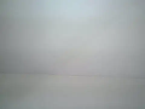 wendy shancy online show from 05.27.26