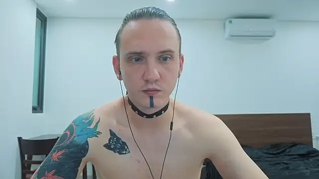 Silent Stitch online show from 07.12.26