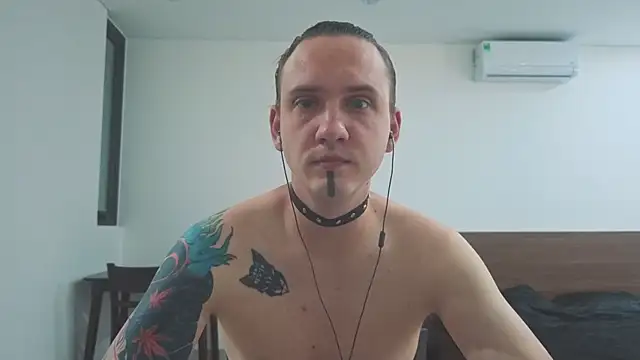 Silent Stitch online show from 07.18.26