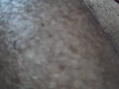 indiboy009 online show from 03.14.25