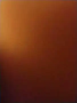 Harddickdadbod online show from 06.06.26