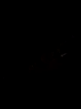drukboy93 online show from 06.06.26