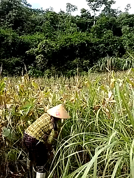 Snapshot of Mye_kiss chatting on 07.11.26 Mye kiss online show from 07.11.26