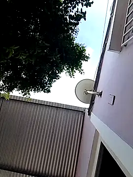 bradboy Pigpisscum online show from 07.29.26