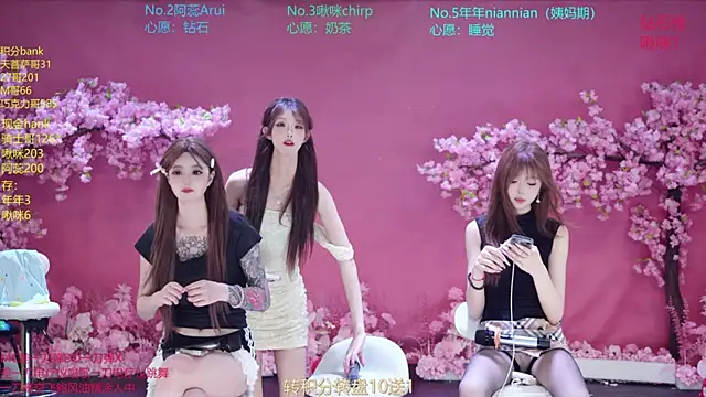 Snapshot of SK-121 chatting on 07.06.26 SK-121 online show from 07.06.26