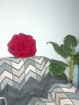 Cupid Mayra online show from 08.05.26