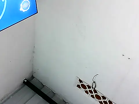 alice morr online show from 07.21.26