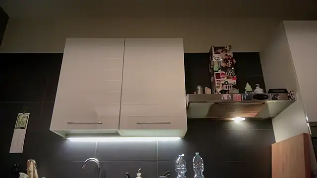 theitalianbear online show from 05.11.26