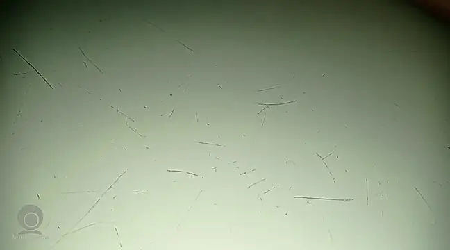 Just for trans online show from 02.21.25