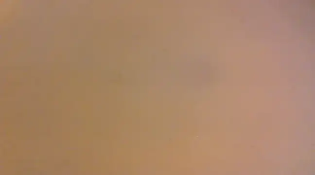 Snapshot of lilpervt chatting on 12.21.24 lilpervt online show from 12.21.24