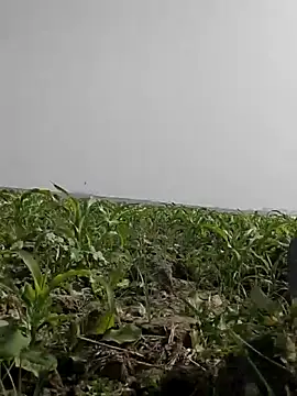 ThethunderPo online show from 02.05.26