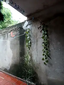 Camilatinass  online show from 04.16.26