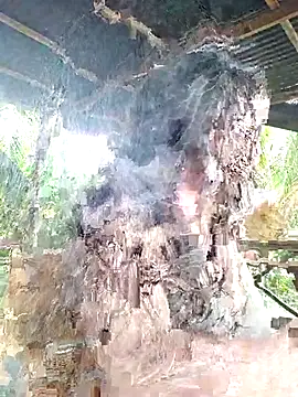 Snapshot of loveuu-bae chatting on 10.23.25 loveuu-bae online show from 10.23.25