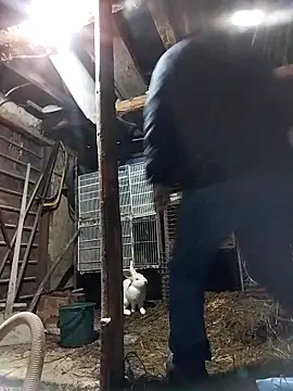 sarpe4 online show from 02.19.26