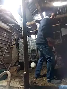 sarpe4 online show from 02.21.26