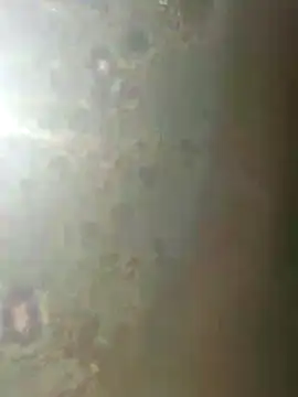 Snapshot of misscectito13 chatting on 11.18.25 misscectito13 online show from 11.18.25