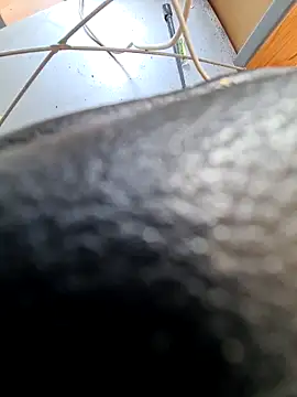 Snapshot of PetePro1989 chatting on 04.08.26 PetePro1989 online show from 04.08.26