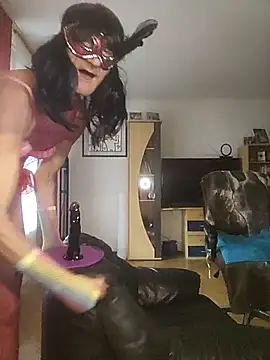 Python43 online show from 02.06.26