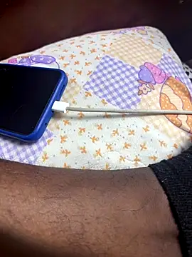 Snapshot of LINDO_R chatting on 11.04.25 LINDO R online show from 11.04.25