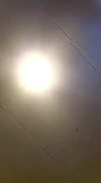 PinkTheHawk online show from 01.11.25