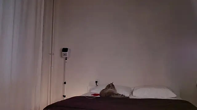 Milky   Way online show from 10.05.25