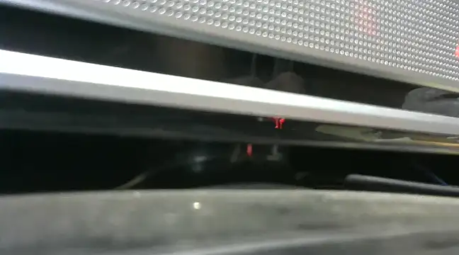 Snapshot of gauchors20 chatting on 12.26.24 gauchors20 online show from 12.26.24