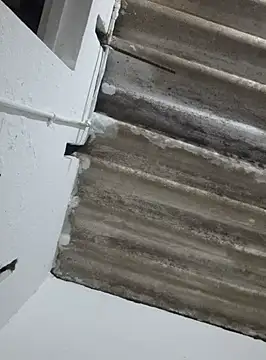 DAELAA online show from 02.18.25