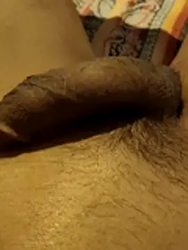 hq9870a online show from 11.29.25