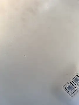 Tristris100 online show from 12.23.24