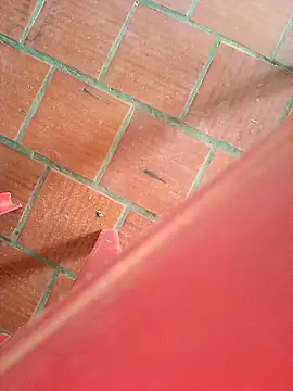 Brenda Berck  online show from 09.12.25