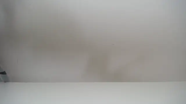 Snapshot of salomecastro_ chatting on 11.19.25 salomecastro online show from 11.19.25