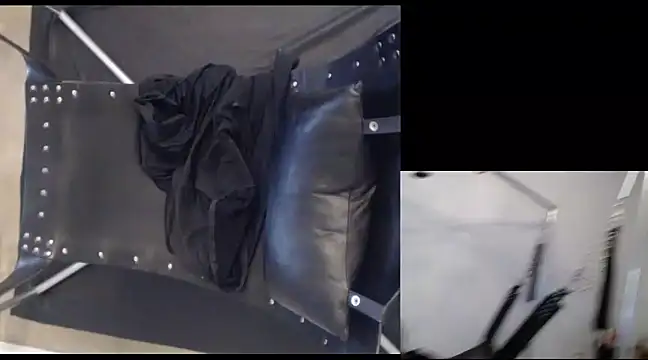 njdbear online show from 12.22.24