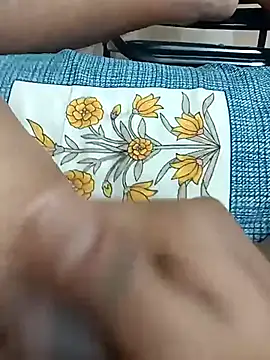 Snapshot of Indianshine chatting on 02.04.26 Indianshine online show from 02.04.26