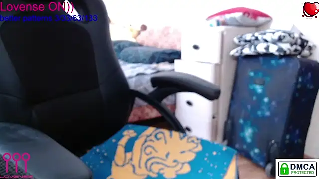 sweet cute cat online show from 03.08.25