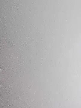 Snapshot of mister-dwt chatting on 10.12.25 mister-dwt online show from 10.12.25