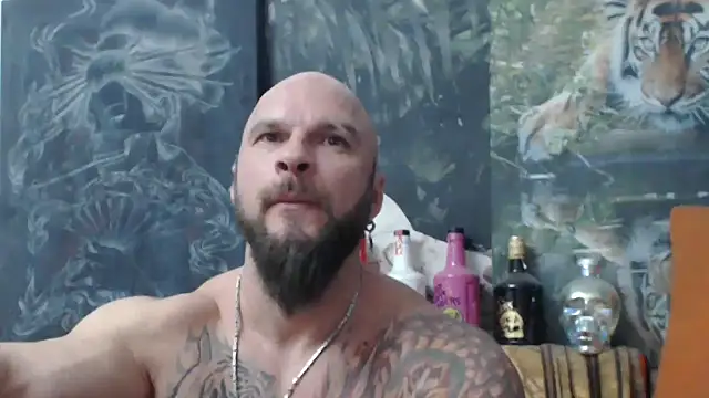 viking 30 online show from 11.09.25