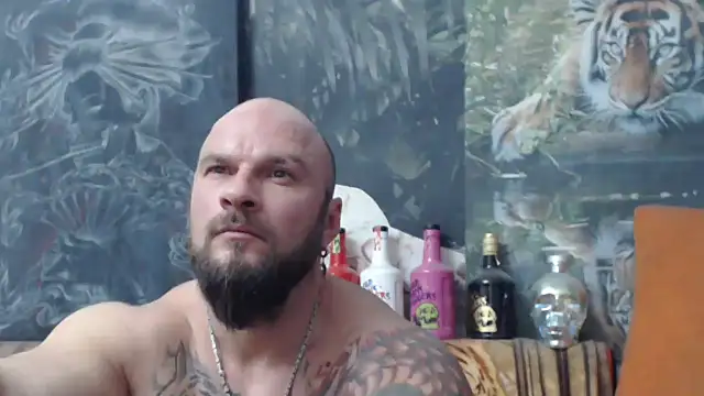 viking 30 online show from 11.14.25