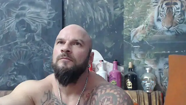 viking 30 online show from 11.19.25