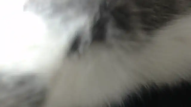 prettyangelsquirt online show from 04.08.26