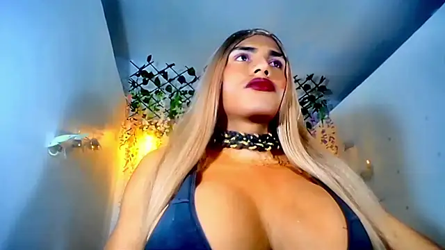 paulabigcock online show from 02.14.26