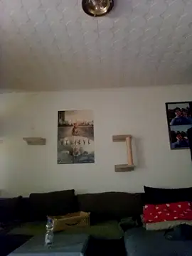 Codymc89 online show from 06.30.26