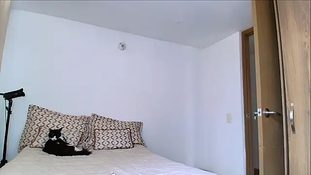 SARA TS FOX online show from 02.11.26