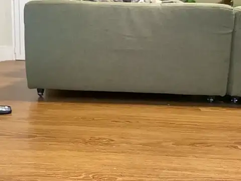 Relknhoxh online show from 10.28.25