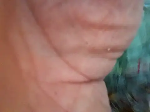 Payaso53 online show from 04.11.26