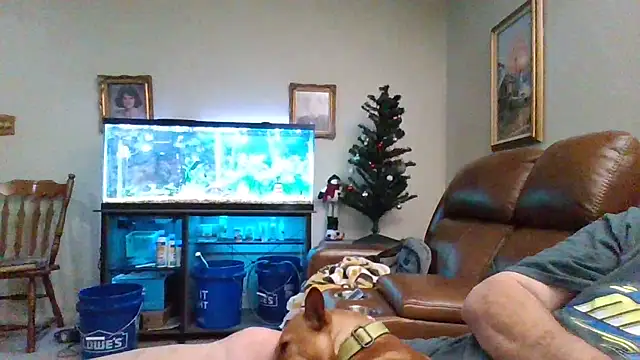 1964peterbilt1 online show from 12.30.24