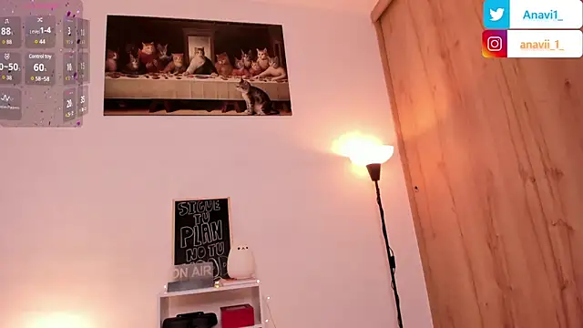 Snapshot of Anavi_ chatting on 01.28.25 Anavi  online show from 01.28.25