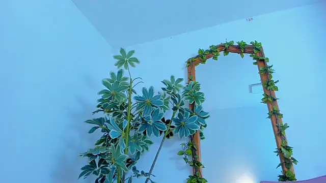 NinaWong online show from 02.26.26