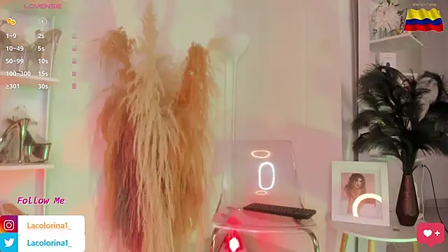 Snapshot of LaColorina_ chatting on 11.05.25 LaColorina online show from 11.05.25