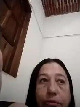 catdool online show from 11.14.25