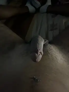 mamoubz online show from 11.03.25